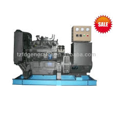 Weifang Ricardo gerador diesel 60KW / 75KVA